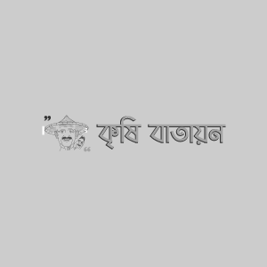 নারিকেল